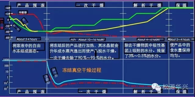 做好凍干產(chǎn)品的三個(gè)關(guān)鍵要素